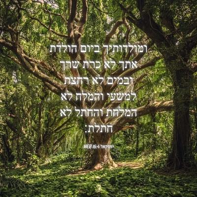 Picture 04 - יחזקאל 16:4 HEB - ומולדותיך ביום הולדת אתך - Bible Verse Picture