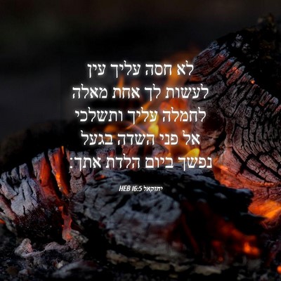 Picture 04 - יחזקאל 16:5 HEB - לא חסה עליך עין לעשות לך - Bible Verse Picture