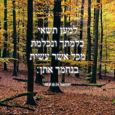 Picture 04 - יחזקאל 16:54 HEB - למען תשאי כלמתך ונכלמת מכל - Bible Verse Picture