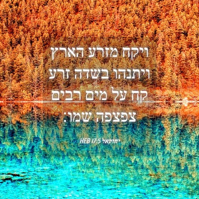 Picture 04 - יחזקאל 17:5 HEB - ויקח מזרע הארץ ויתנהו בשדה - Bible Verse Picture