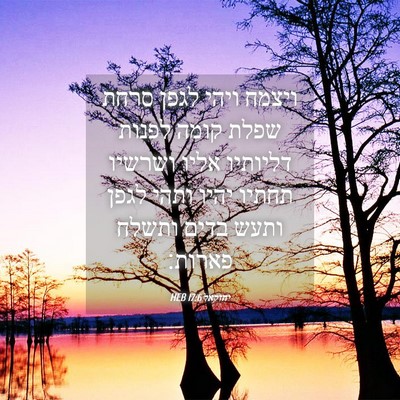 Picture 04 - יחזקאל 17:6 HEB - ויצמח ויהי לגפן סרחת שפלת - Bible Verse Picture