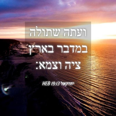 Picture 04 - יחזקאל 19:13 HEB - ועתה שתולה במדבר בארץ ציה - Bible Verse Picture