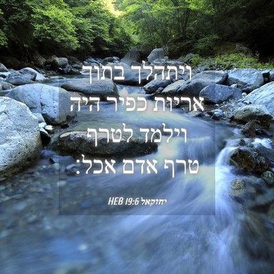 Picture 04 - יחזקאל 19:6 HEB - ויתהלך בתוך אריות כפיר היה - Bible Verse Picture