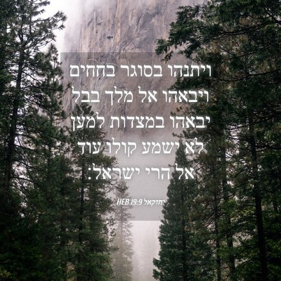 Picture 04 - יחזקאל 19:9 HEB - ויתנהו בסוגר בחחים ויבאהו - Bible Verse Picture