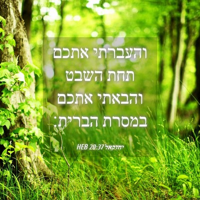 Picture 04 - יחזקאל 20:37 HEB - והעברתי אתכם תחת השבט - Bible Verse Picture