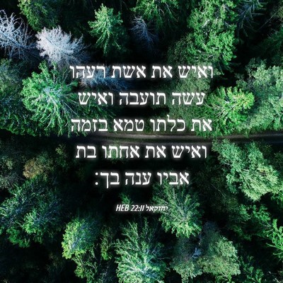 Picture 04 - יחזקאל 22:11 HEB - ואיש את אשת רעהו עשה תועבה - Bible Verse Picture