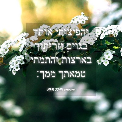 Picture 04 - יחזקאל 22:15 HEB - והפיצותי אותך בגוים - Bible Verse Picture