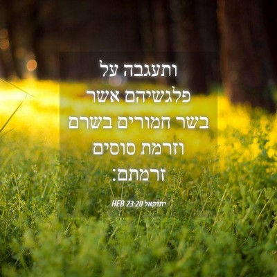 Picture 04 - יחזקאל 23:20 HEB - ותעגבה על פלגשיהם אשר בשר - Bible Verse Picture