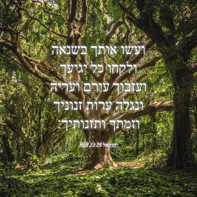 Picture 04 - יחזקאל 23:29 HEB - ועשו אותך בשנאה ולקחו כל - Bible Verse Picture