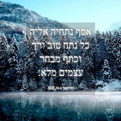 Picture 04 - יחזקאל 24:4 HEB - אסף נתחיה אליה כל נתח טוב - Bible Verse Picture