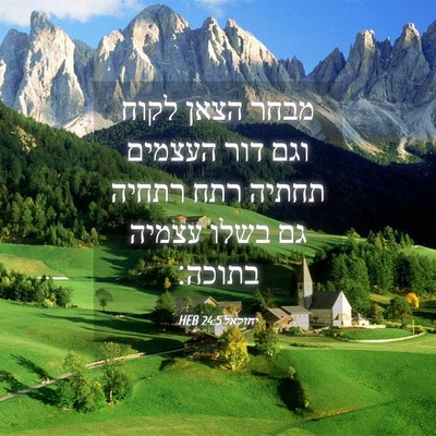 Picture 04 - יחזקאל 24:5 HEB - מבחר הצאן לקוח וגם דור - Bible Verse Picture