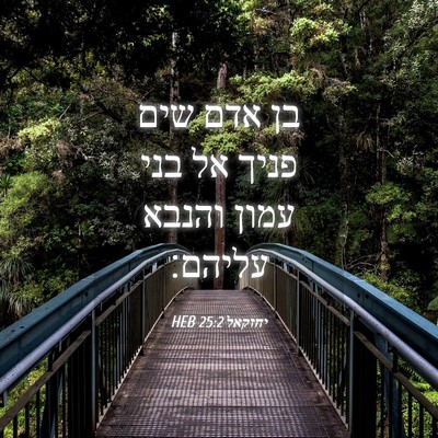 Picture 04 - יחזקאל 25:2 HEB - בן אדם שים פניך אל בני עמון - Bible Verse Picture