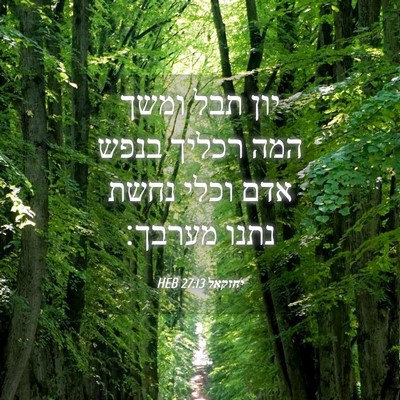 Picture 04 - יחזקאל 27:13 HEB - יון תבל ומשך המה רכליך בנפש - Bible Verse Picture