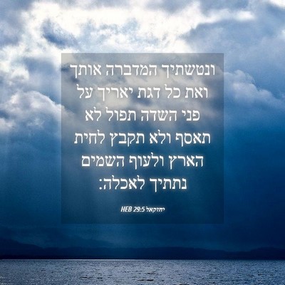 Picture 04 - יחזקאל 29:5 HEB - ונטשתיך המדברה אותך ואת כל - Bible Verse Picture