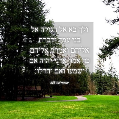 Picture 04 - יחזקאל 3:11 HEB - ולך בא אל הגולה אל בני עמך - Bible Verse Picture