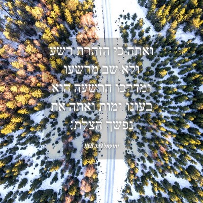Picture 04 - יחזקאל 3:19 HEB - ואתה כי הזהרת רשע ולא שב - Bible Verse Picture