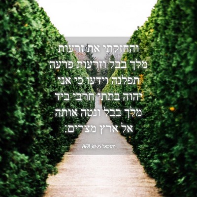 Picture 04 - יחזקאל 30:25 HEB - והחזקתי את זרעות מלך בבל - Bible Verse Picture