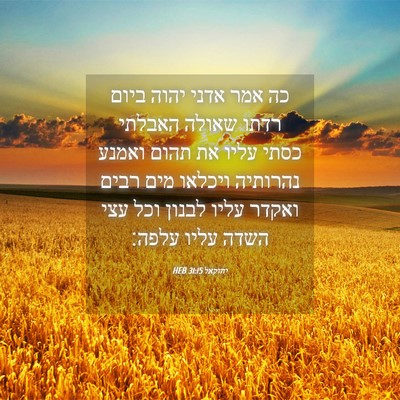Picture 04 - יחזקאל 31:15 HEB - כה אמר אדני יהוה ביום רדתו - Bible Verse Picture