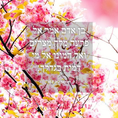 Picture 04 - יחזקאל 31:2 HEB - בן אדם אמר אל פרעה מלך - Bible Verse Picture