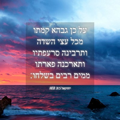 Picture 04 - יחזקאל 31:5 HEB - על כן גבהא קמתו מכל עצי - Bible Verse Picture