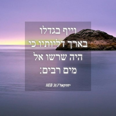 Picture 04 - יחזקאל 31:7 HEB - וייף בגדלו בארך דליותיו כי - Bible Verse Picture