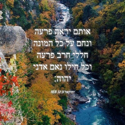 Picture 04 - יחזקאל 32:31 HEB - אותם יראה פרעה ונחם על כל - Bible Verse Picture
