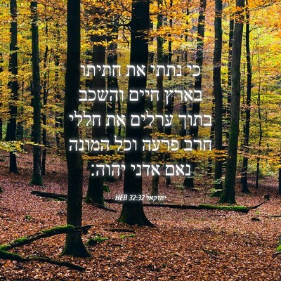 Picture 04 - יחזקאל 32:32 HEB - כי נתתי את חתיתו בארץ חיים - Bible Verse Picture
