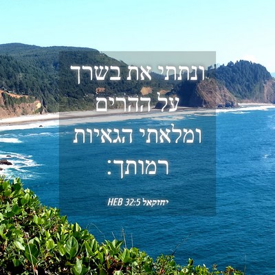 Picture 04 - יחזקאל 32:5 HEB - ונתתי את בשרך על ההרים - Bible Verse Picture