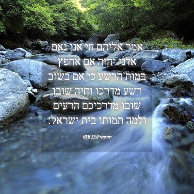 Picture 04 - יחזקאל 33:11 HEB - אמר אליהם חי אני נאם אדני - Bible Verse Picture