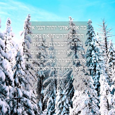 Picture 04 - יחזקאל 34:10 HEB - כה אמר אדני יהוה הנני אל - Bible Verse Picture