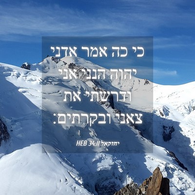 Picture 04 - יחזקאל 34:11 HEB - כי כה אמר אדני יהוה הנני - Bible Verse Picture