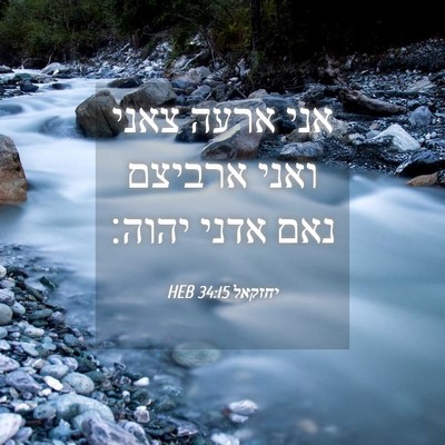 Picture 04 - יחזקאל 34:15 HEB - אני ארעה צאני ואני ארביצם - Bible Verse Picture