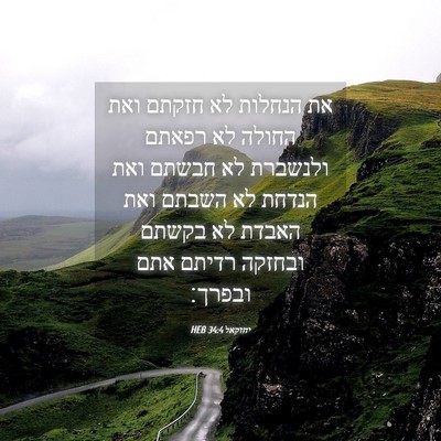 Picture 04 - יחזקאל 34:4 HEB - את הנחלות לא חזקתם ואת - Bible Verse Picture