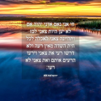 Picture 04 - יחזקאל 34:8 HEB - חי אני נאם אדני יהוה אם לא - Bible Verse Picture