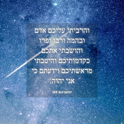 Picture 04 - יחזקאל 36:11 HEB - והרביתי עליכם אדם ובהמה - Bible Verse Picture