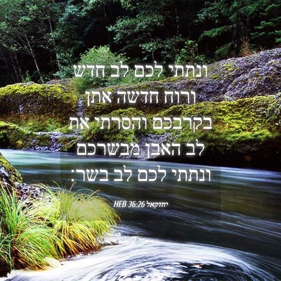 Picture 04 - יחזקאל 36:26 HEB - ונתתי לכם לב חדש ורוח חדשה - Bible Verse Picture