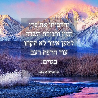 Picture 04 - יחזקאל 36:30 HEB - והרביתי את פרי העץ ותנובת - Bible Verse Picture