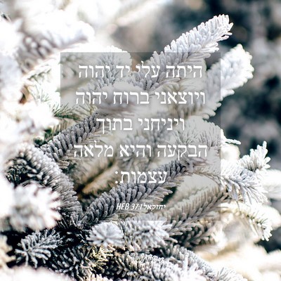 Picture 04 - יחזקאל 37:1 HEB - היתה עלי יד יהוה ויוצאני - Bible Verse Picture