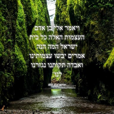 Picture 04 - יחזקאל 37:11 HEB - ויאמר אלי בן אדם העצמות - Bible Verse Picture
