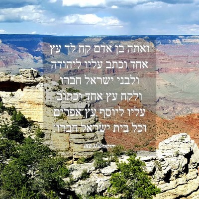 Picture 04 - יחזקאל 37:16 HEB - ואתה בן אדם קח לך עץ אחד - Bible Verse Picture