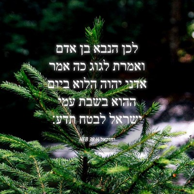 Picture 04 - יחזקאל 38:14 HEB - לכן הנבא בן אדם ואמרת לגוג - Bible Verse Picture