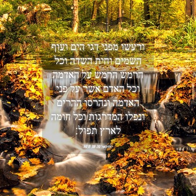 Picture 04 - יחזקאל 38:20 HEB - ורעשו מפני דגי הים ועוף - Bible Verse Picture