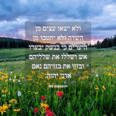 Picture 04 - יחזקאל 39:10 HEB - ולא ישאו עצים מן השדה ולא - Bible Verse Picture