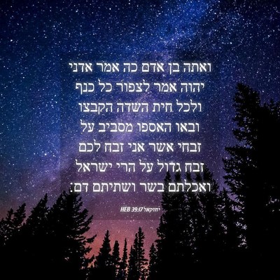 Picture 04 - יחזקאל 39:17 HEB - ואתה בן אדם כה אמר אדני - Bible Verse Picture