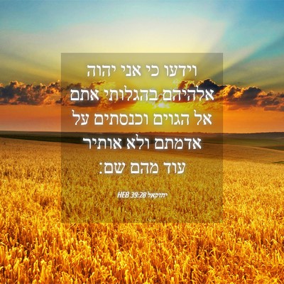 Picture 04 - יחזקאל 39:28 HEB - וידעו כי אני יהוה אלהיהם - Bible Verse Picture
