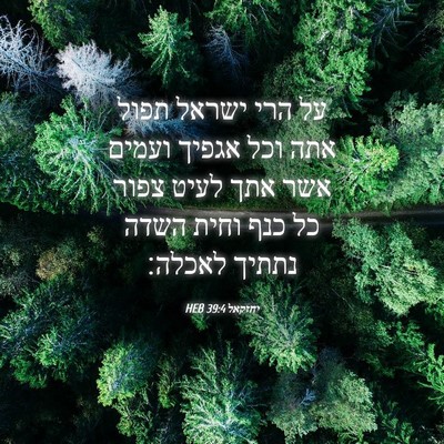 Picture 04 - יחזקאל 39:4 HEB - על הרי ישראל תפול אתה וכל - Bible Verse Picture