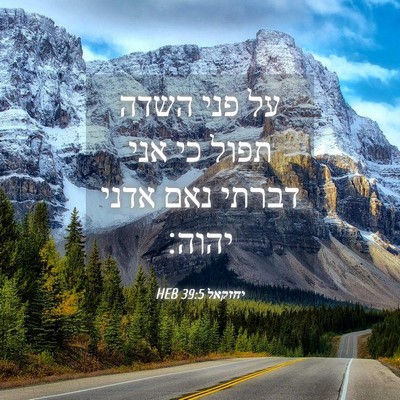 Picture 04 - יחזקאל 39:5 HEB - על פני השדה תפול כי אני - Bible Verse Picture