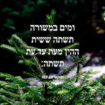 Picture 04 - יחזקאל 4:11 HEB - ומים במשורה תשתה ששית ההין - Bible Verse Picture