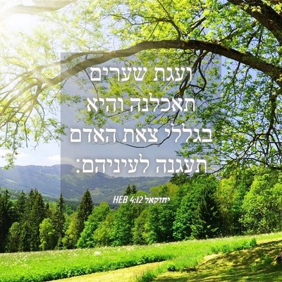 Picture 04 - יחזקאל 4:12 HEB - ועגת שערים תאכלנה והיא - Bible Verse Picture