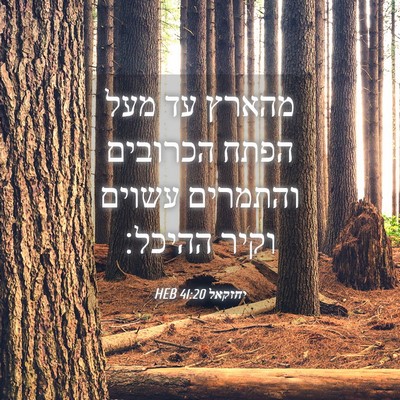 Picture 04 - יחזקאל 41:20 HEB - מהארץ עד מעל הפתח הכרובים - Bible Verse Picture